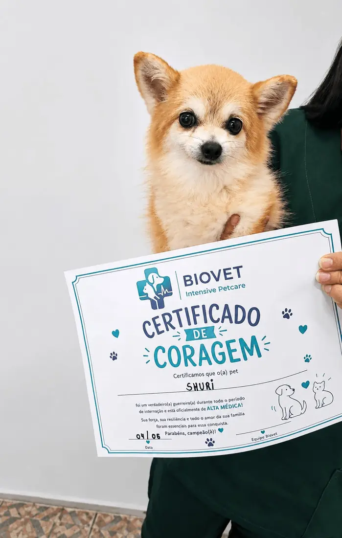 Paciente Shuri da BIOVET