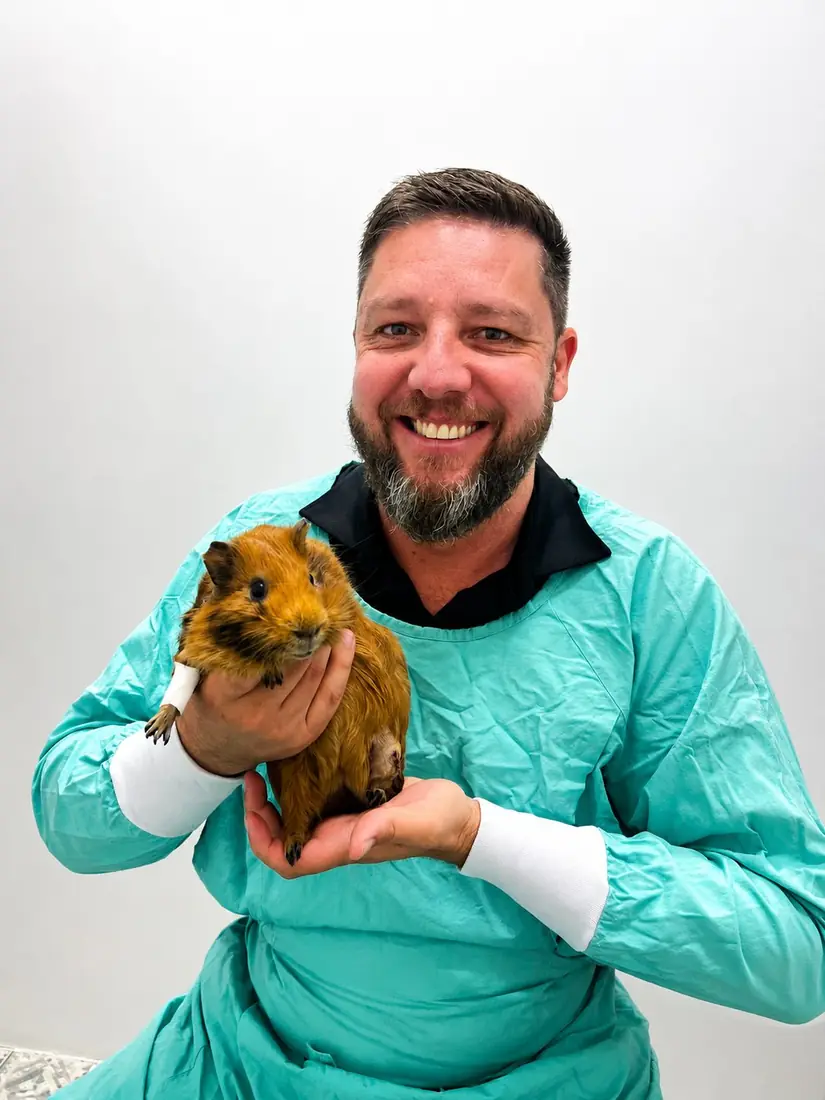 Cuidado com pets de todos os portes